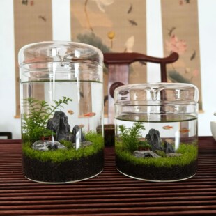 �����~���~��ˮ��΢���^���k���Ҳ�������A���쾰�^�pС�~�����B