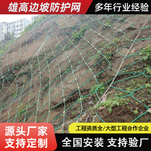 sns����߅�·��o�W ߅�¾G���������o�¾W��������ֲ���F�z�W�S��