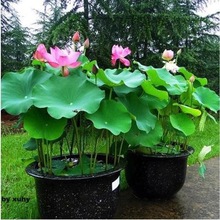 ^pɻNźɏźNɏԺɻˮļ_҃⎧ѿ