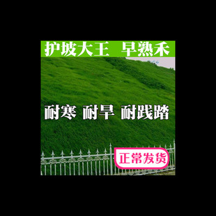 ����̲��Ѳ�ƺ�N���ݰ����ļ������ƺ��ͥԺ�e���G���������`̤