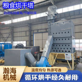 50吨粮食烘干机图片 苞米干燥设备玉米烘干塔设备 双仓稻谷烘干机