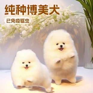 ���N������Ȯ�S��ɫ���N���鲩��Ȯ���w�����豭ȮС��Ȯ����Ȯ��