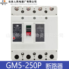 GM5-250P Y1D/Y2B 250A DC1000Vֱܚ·