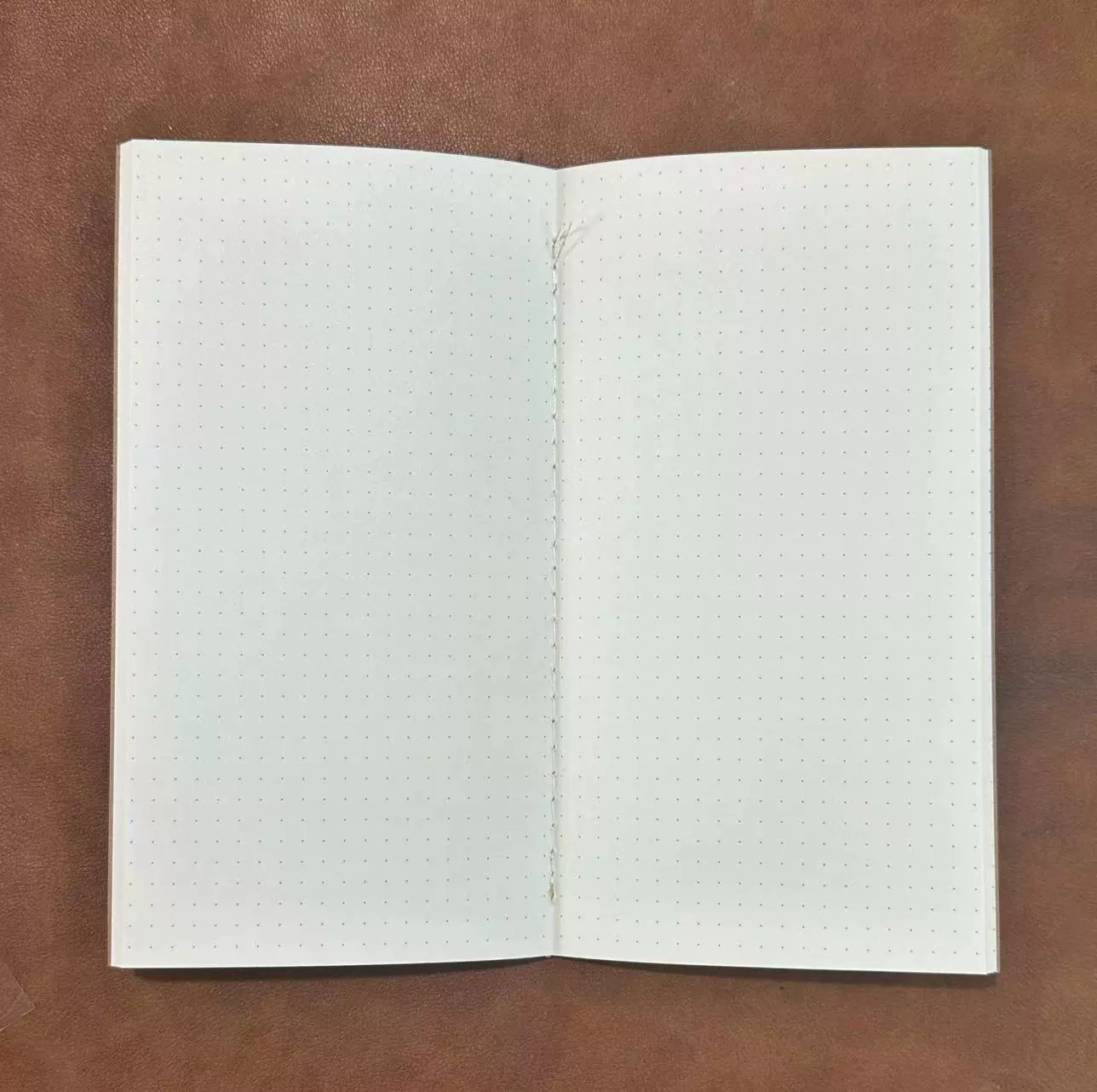 Ремень сменный для путешествий, 19×10,2 см