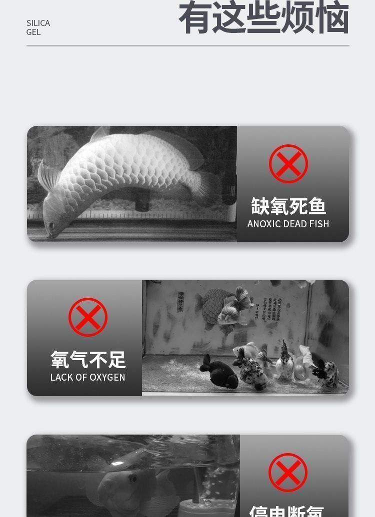 9443a858-d0cb-41fd-be01-a85065962bf1.jpe