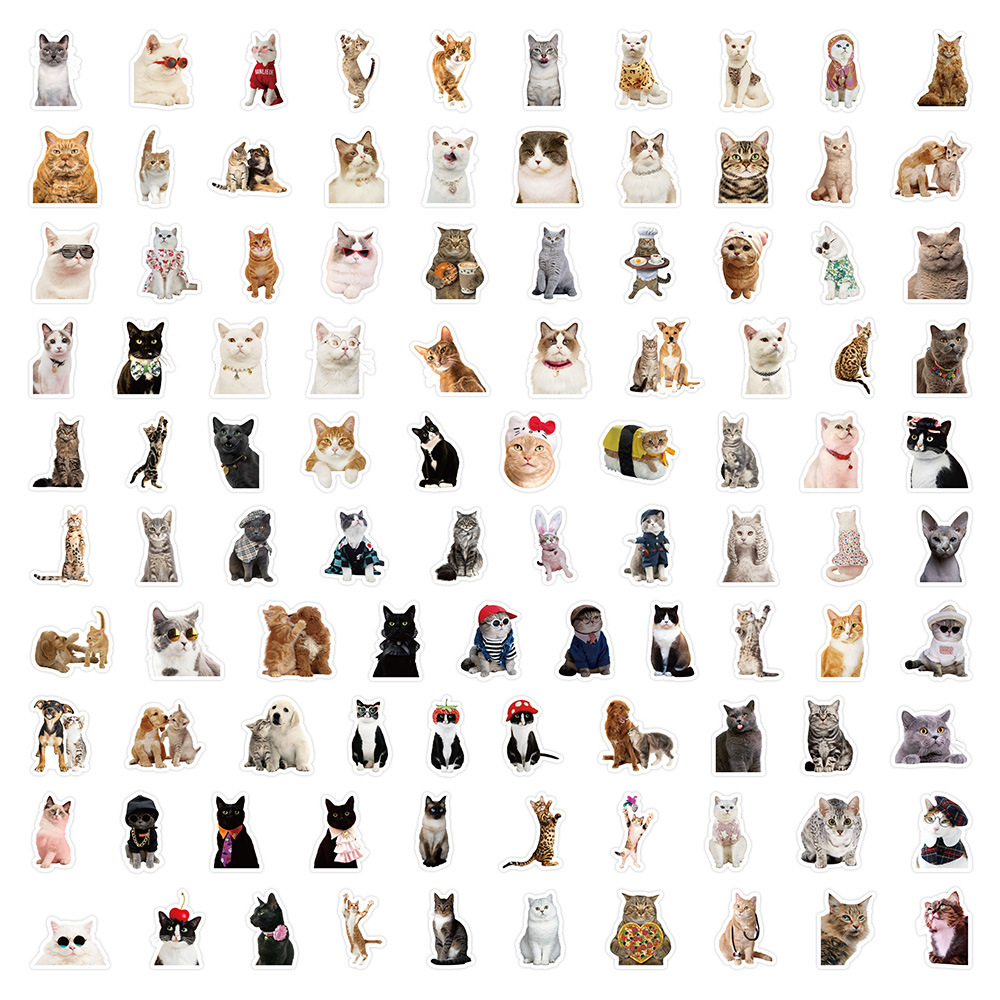 1 Set Dog Cat Learning PVC Self-adhesive Cute Stickers display picture 13