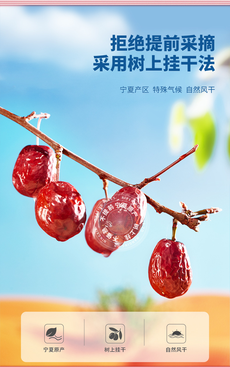 Ningxia Grey Jujube Dried Red Dates Hong Zao 500g Bagged Chinese Dried Fruit overview