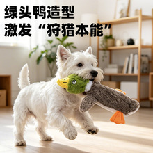 ����ë�q�l��߾Gɫ�¸����Ӂ��R�d�����Ϳ�ҧĥ��������ɐ�