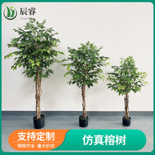 �羳�Ř� ���~/�z�~ ����Gֲ���� ins�����k������[���٘�