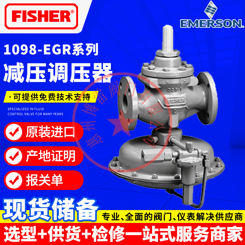 1098H-EGR减压调压器63EG-98HM指挥器作用式泄压阀或背压阀Fisher