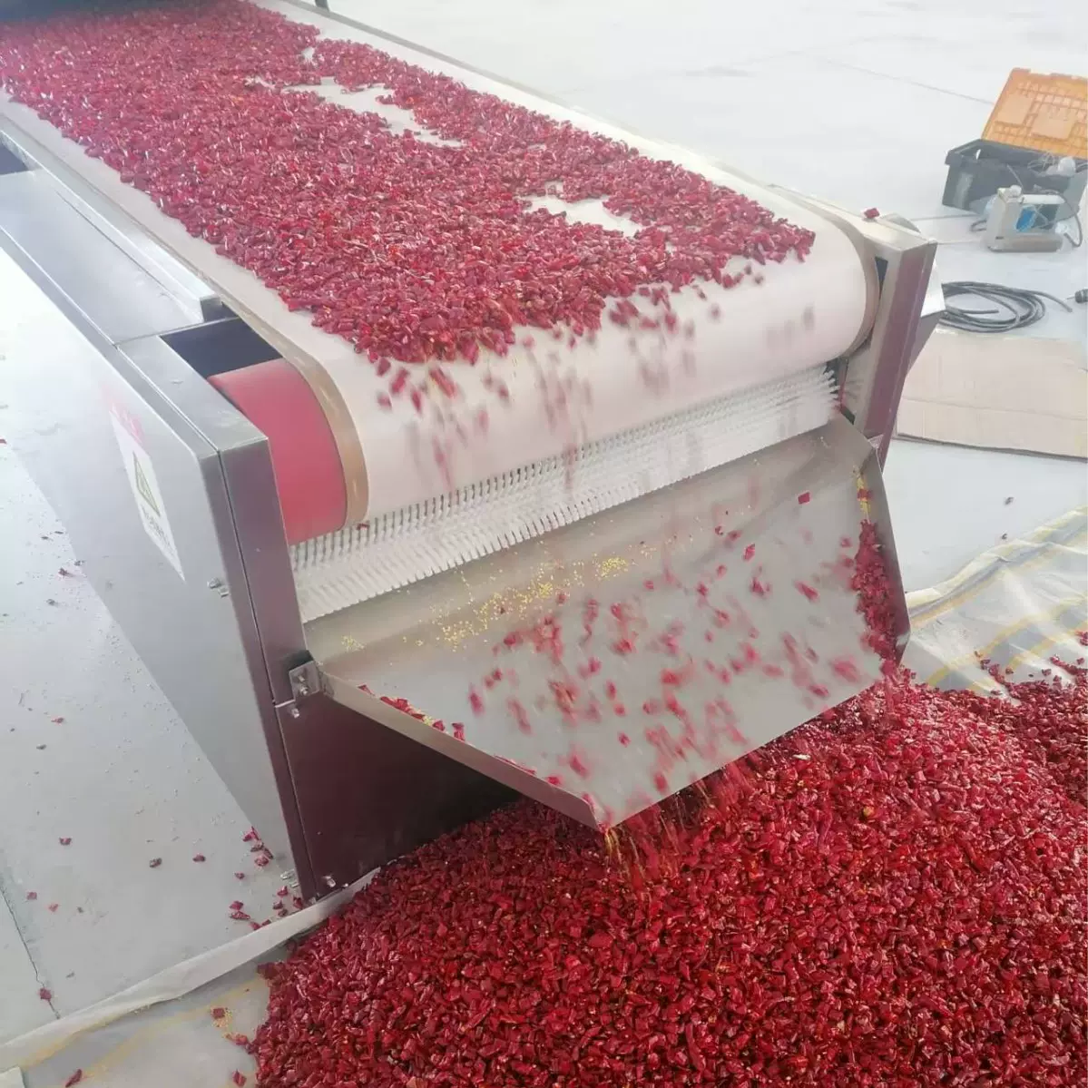 辣椒微波烘干设备 辣椒面微波干燥设备 连续式微波烘干机