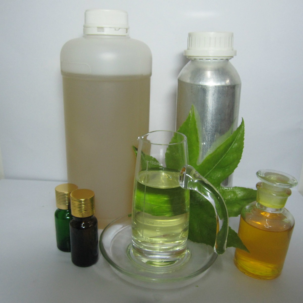 ��Ӧ«����   ��«��ֲ����ȡ ��ӭ����