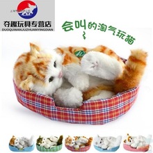 ���؈؈�������ģ�͔[��С؈��ë�q������ż���ތ���ɐۼل���