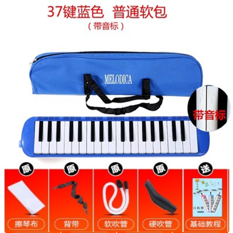 Armónica de 37 agujeros, órgano de boca de 32 teclas para estudiantes y niños, adecuada para presentaciones en el aula de principiantes.