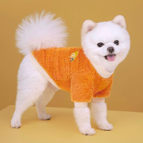 Amazon Autumn/Winter Pet Dog Thick Warm Two-Foot Fruit Coral Fleece Hoodie for Small and Medium Dogs