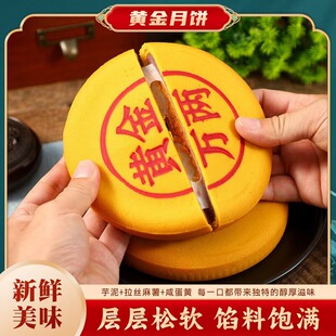 �S���f�ɴ�������̵��Sѩ���zѩ����W�t����������������
