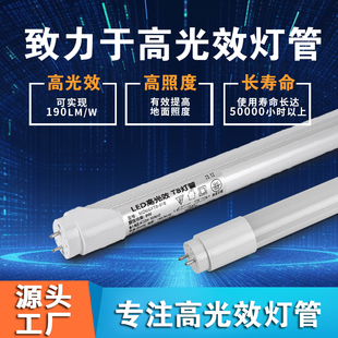 ✅ Led High Light Efficiency T8 Lamp Factory Manufacturer Super Underground Garage Parking Lot 3W5W8W Energy-Saving Transformation