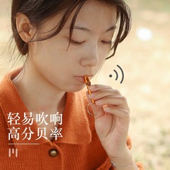 Wilderness Survival Whistle Outdoor Keychain Horn Training Tool High-Pitched Multi-Function Survival EDC Gear Small Size