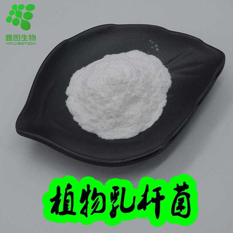 植物乳杆菌100亿cfu/g 雅图生物  植物益生菌粉 食品级 现货包邮