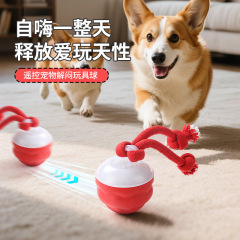 ペットの知能のおもちゃのボールの電動の知能の犬は自分でやきもきします。