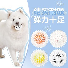 ����ĥ��Ӗ����ߌ������z���������X�д���Ȯ�����������ӽ␞