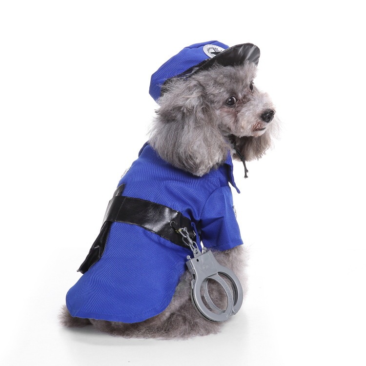 爆金犬ハロウィーンは服装をしている祝日を祝って、高強マジックはしわに強いペット服装をしている|undefined