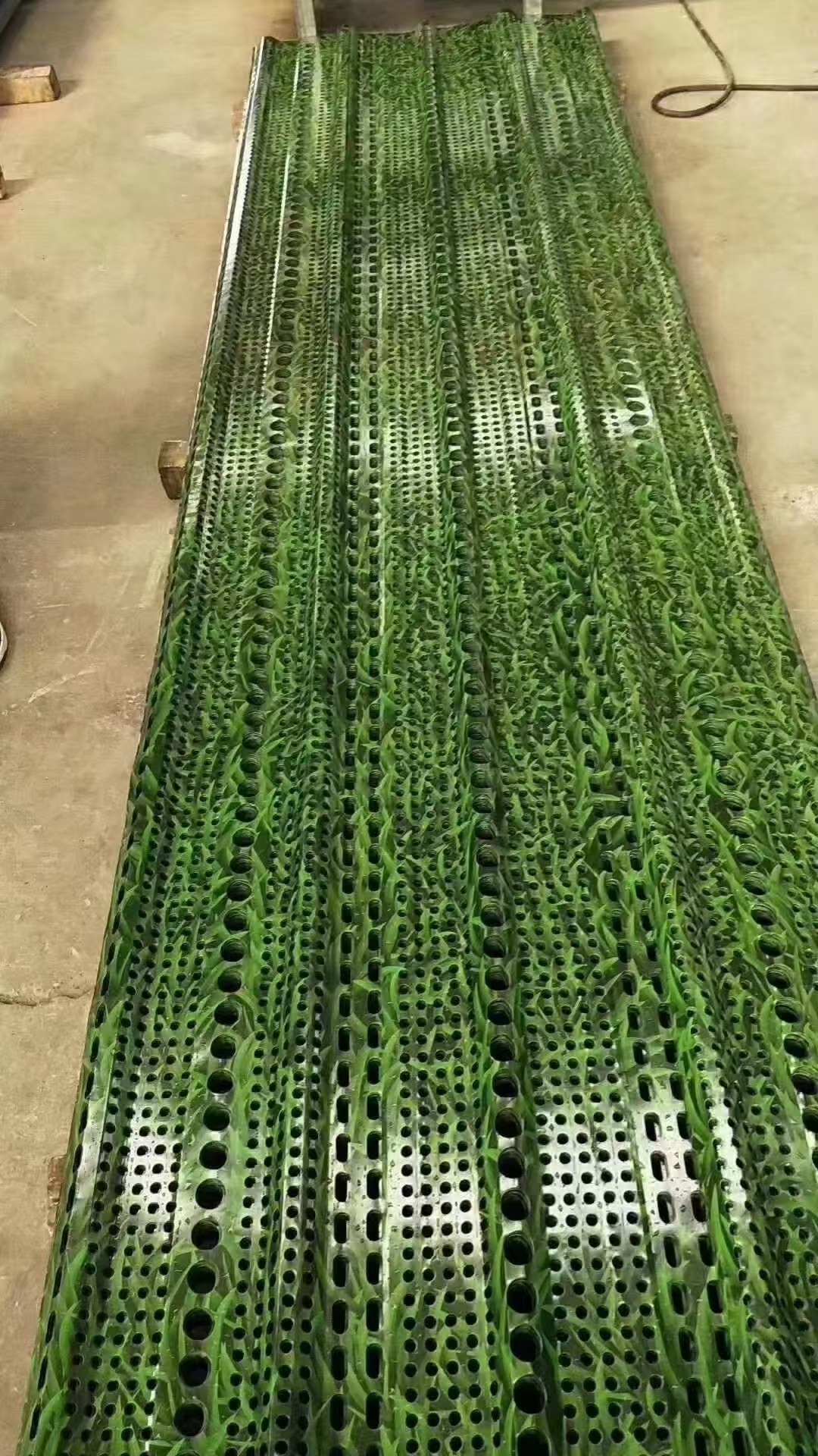 一键上货_20251013113139