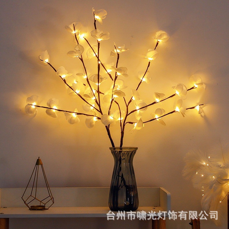 O1CN01IJO8H81YBfUJebelZ_!!2214