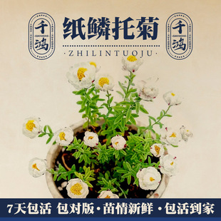 ���[�о������̨ͥԺ�����ջ����л��տƻ���ֲ���ͺ������L���B