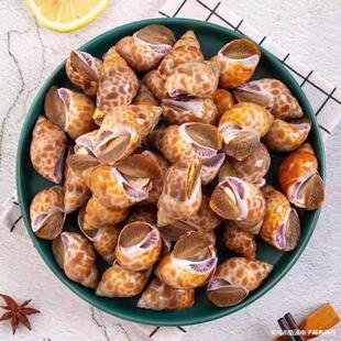 ��֭�������r�ك�����������r�|�L��������r���ؐ��������l
