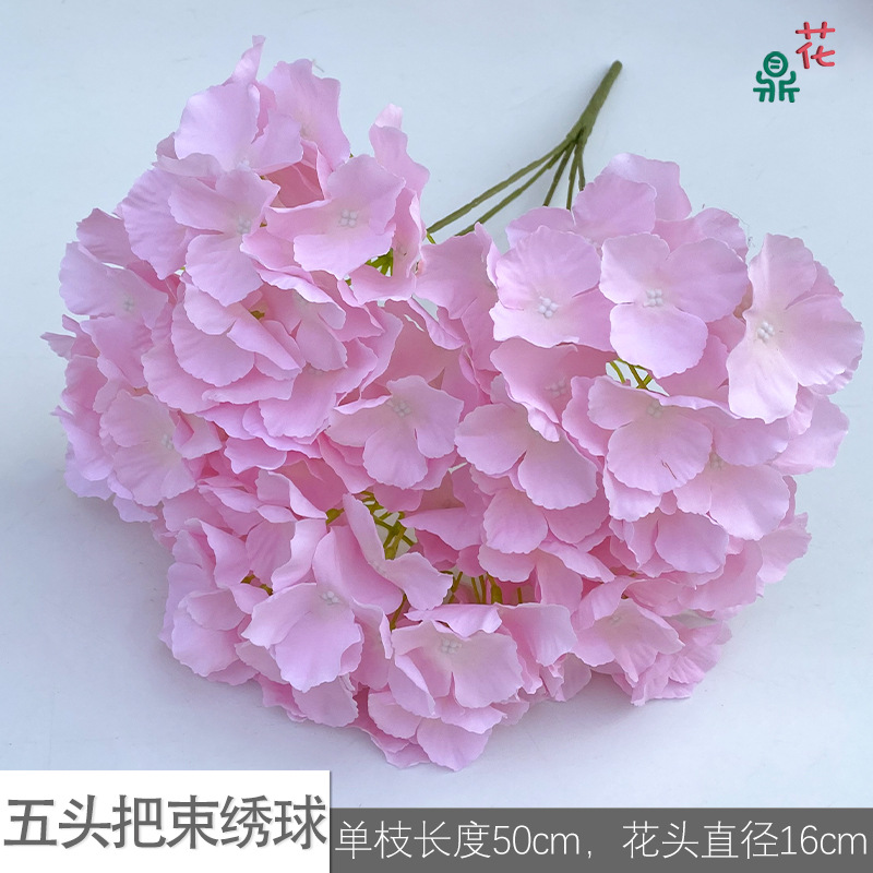 Five -headed hosem LS light pink
