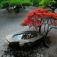 石雕水钵石头流水喷泉花园水景庭院别墅自然面异形流水钵鱼缸摆件