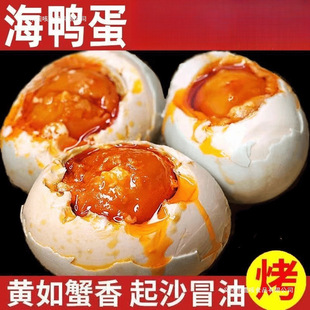 ���]�����͏V���������t�����쿾���������������������伴ʳ
