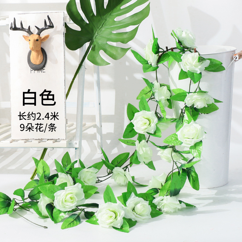 9 장미 흰색
