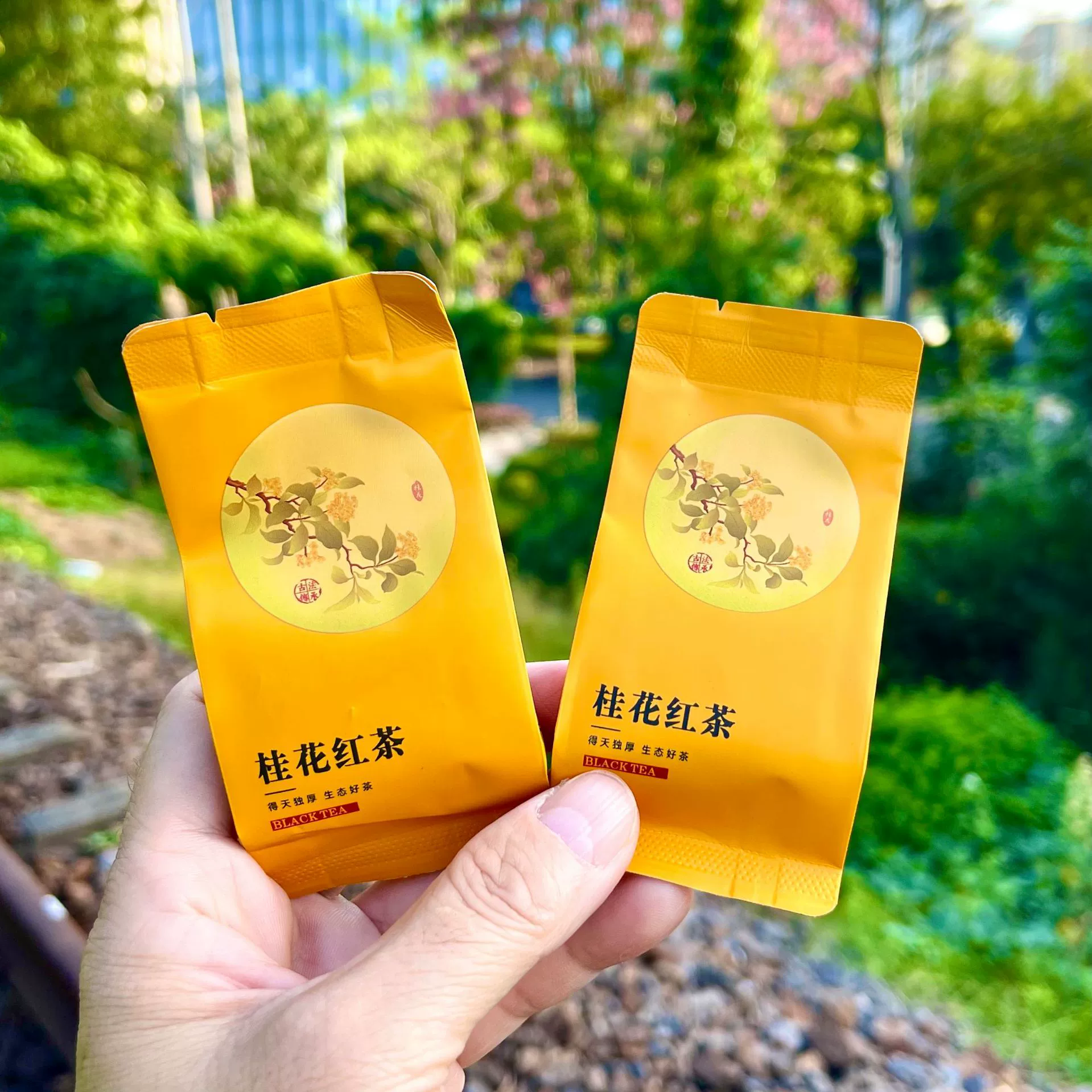 Новый чай Османтус, черный чай, Wuyishan Zhengshan