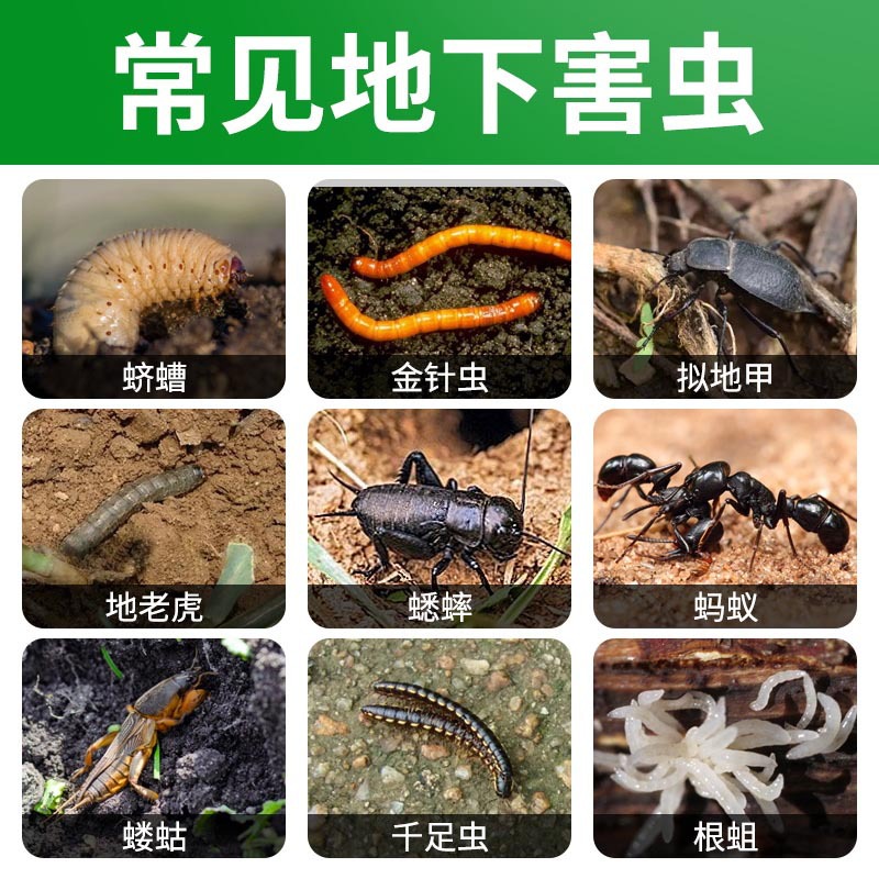 5cc69afc104b6afd02d5df605dd46f