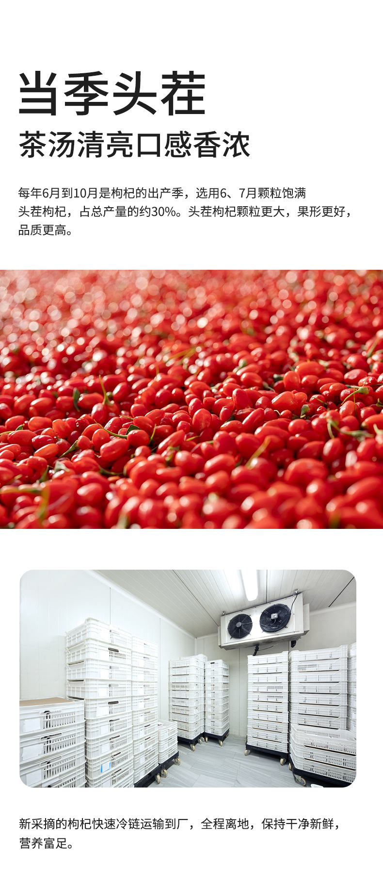 Red Goji Berries Gouqizi Ningxia Zhongning Dried Herbal Tea 400g Jar in use