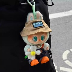 labubu娃衣拉布布小春野套装娃衣一代二代三代公仔17cm通用替换装