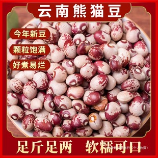 ��؈��5�����ȸ������С��ܿ��؈���t������ȸ��ܽ�ض�����s�Z