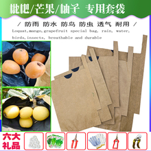 枇杷套袋桃子苹果柚子石榴芒果李子防水防鸟防虫透气双层梨袋