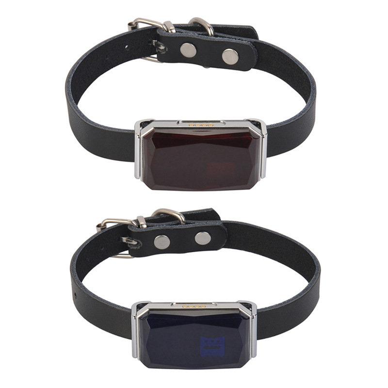 Localizador GPS Inteligente G12 para Mascotas, Impermeable con Seguimiento Antipérdida - Collar Localizador para Perros y Gatos image 2