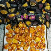 厂家直销松香浮盐水二代琥珀蜜蜡原石荧光琥珀波罗地海蜜蜡原石