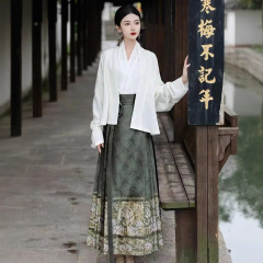 【天女下凡】改良漢服中国秋冬上着と新型日常馬面スカートのセット