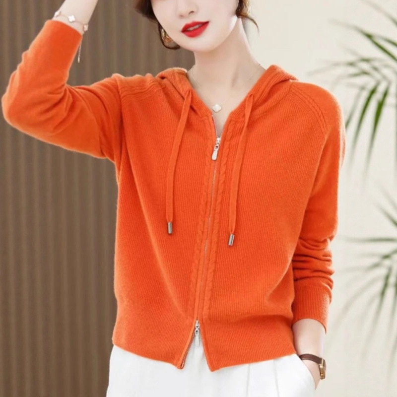 Autumn and Winter Outerwear Cashmere Sweater Hooded Cardigan Women's Knitted Outerwear Long-Sleeved Loose Pure Color Bottoming Sweater Jacket