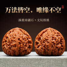 文玩核桃南疆石狮子头老树款涿鹿窝底炮弹赵喜满南将石精品配野生