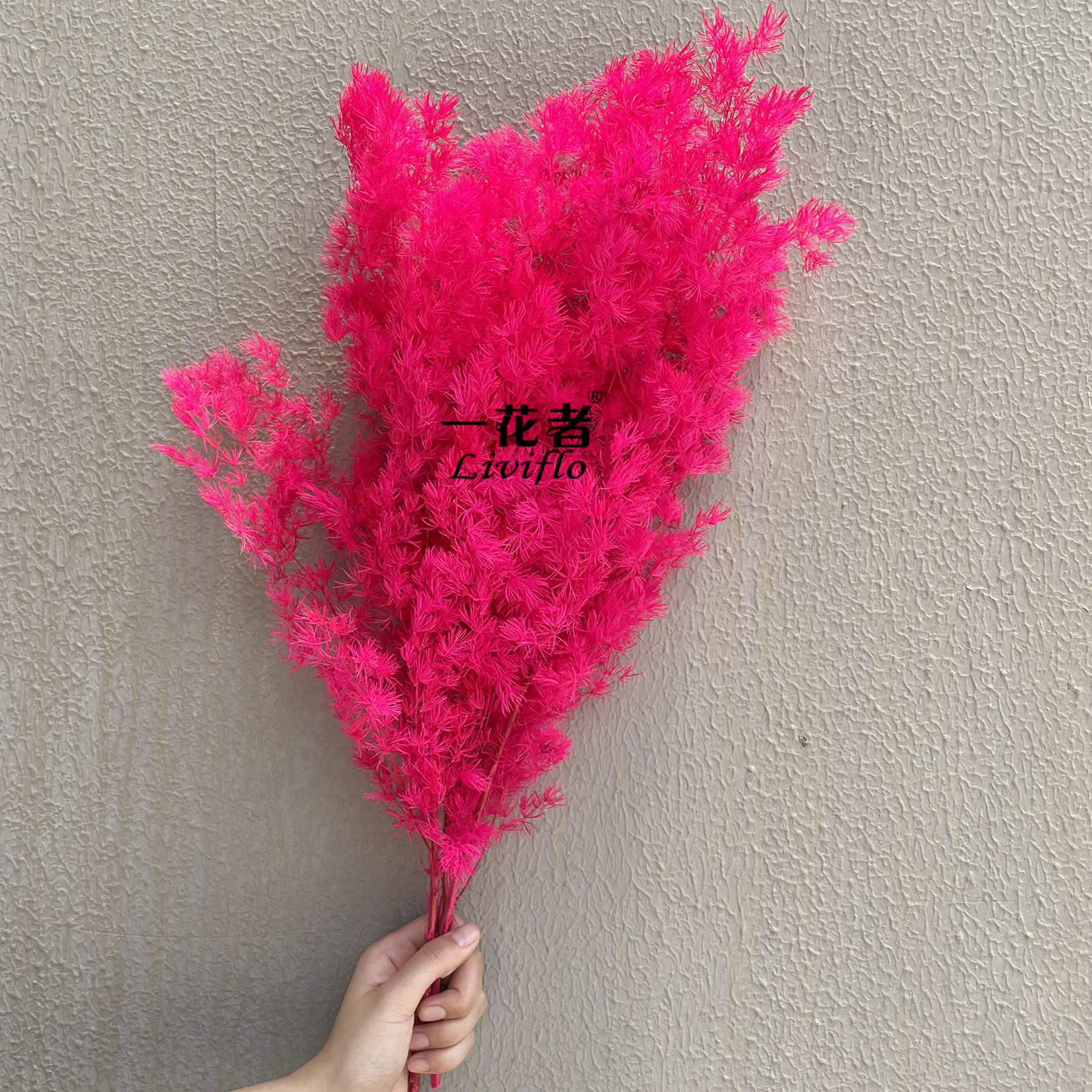 Mawar merah