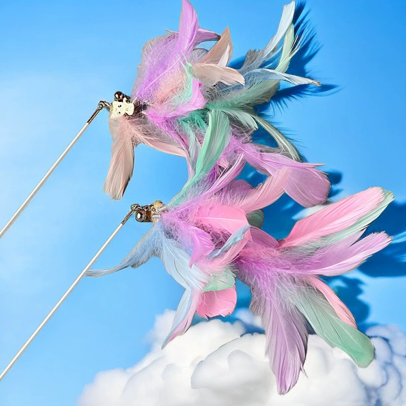 Большие перья дразнят кошачью палочку из куриных перьев