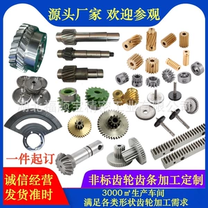 Precision Micro Dual Motor Gear and Rack Customization, Small Module Gear Processing, Custom Helical Gear Manufacturer
