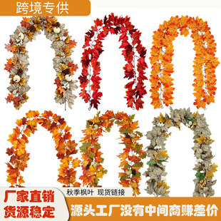 �羳���l�＾������~�ж����Ҿ��b�Ʒ�S�չ�����٘��~���~�ٗl