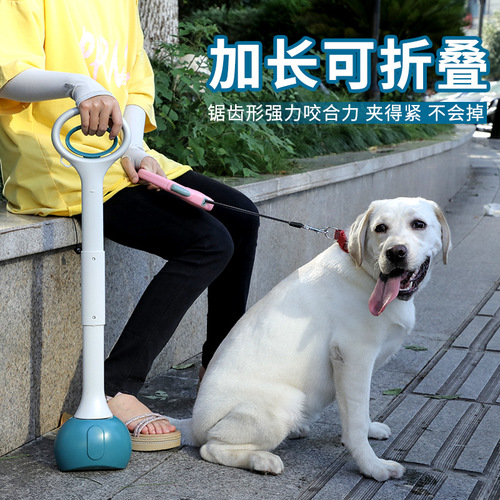 Pet toilet pick-up clip for walking dogs, foldable cat and dog poop scoop, cross-border hot selling for pet cleaning